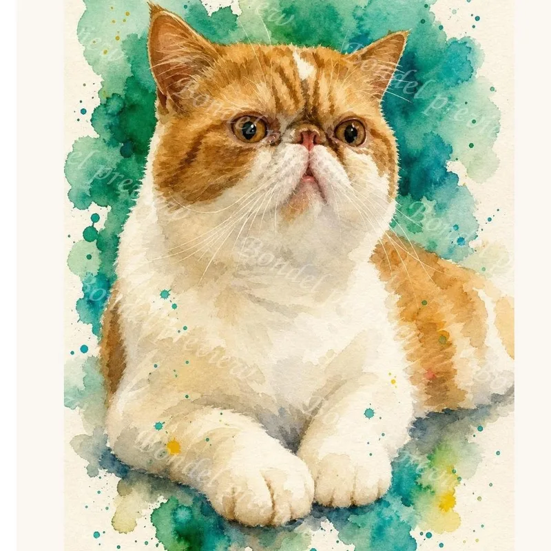 An adult medium-sized male Exotic Shorthair cat named Cheesy for adoption in Farmington Hills, MI