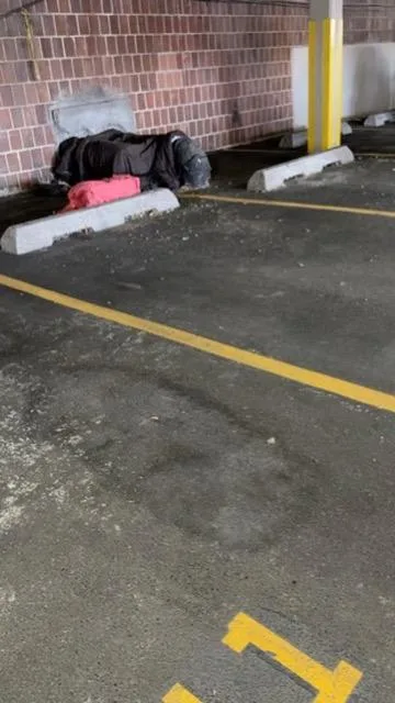 Blanket! Warm And Snuggly thumbnail 4