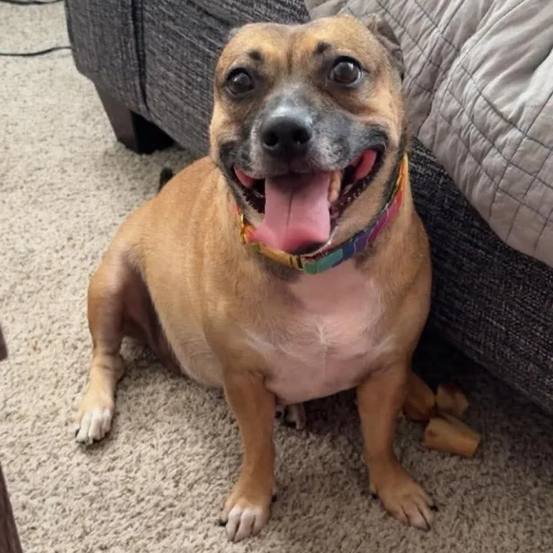 Kona