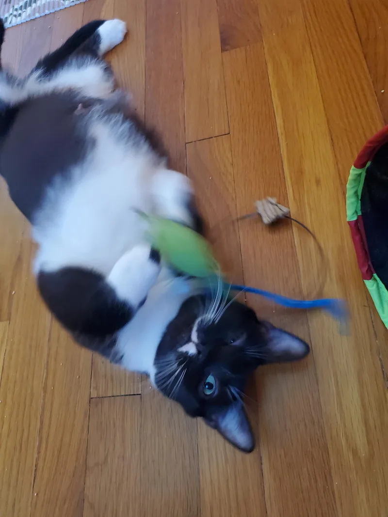 Olivia and Penny thumbnail 4