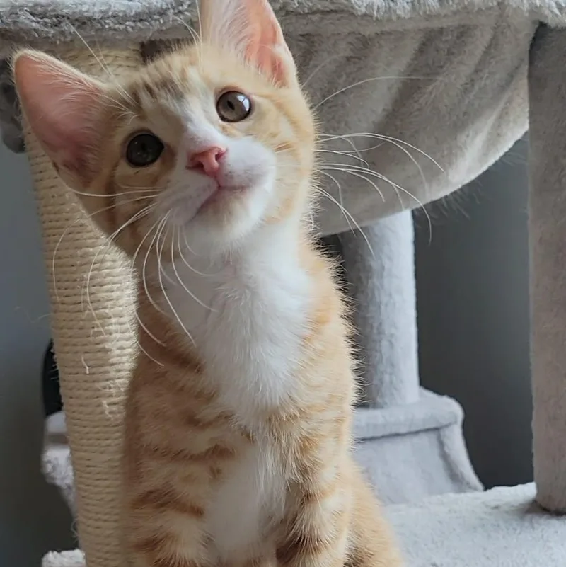 Benjamin Button thumbnail 2