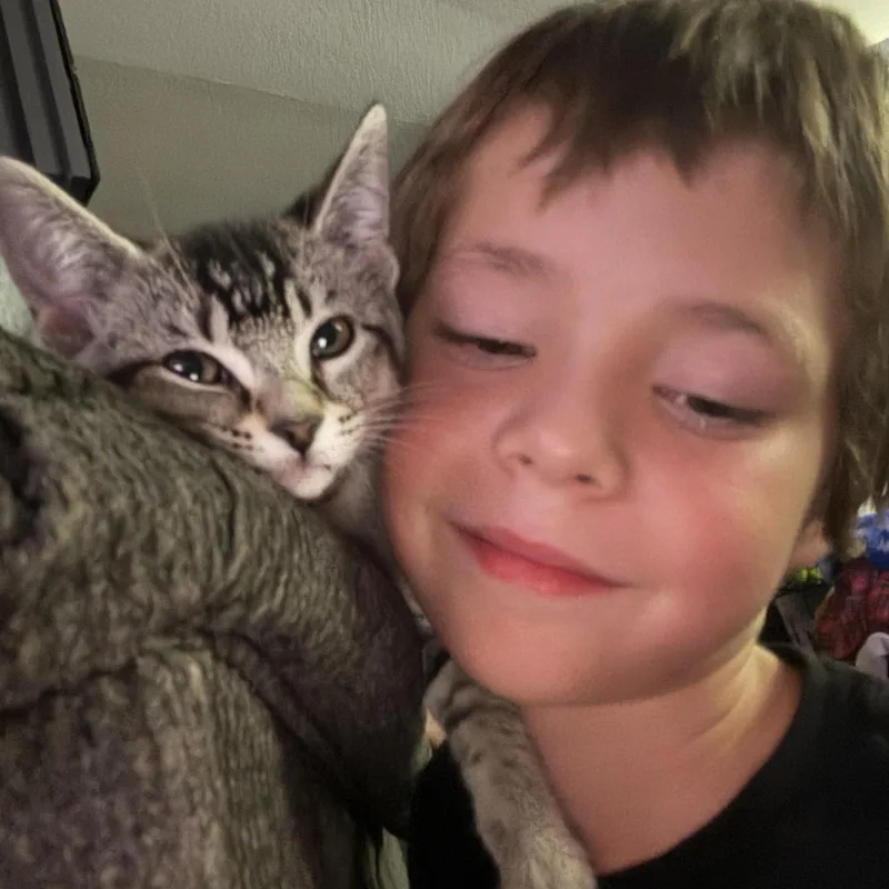 Freckles Indoor Only