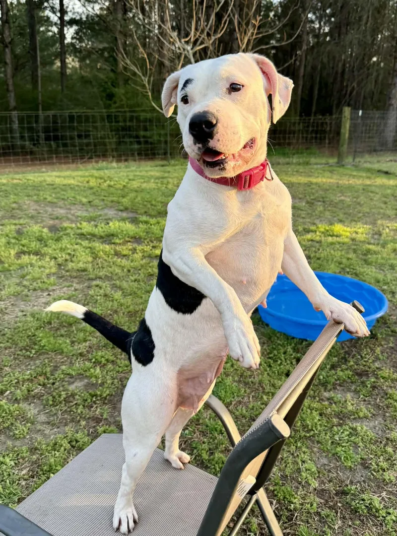 Ellie Mae thumbnail 3