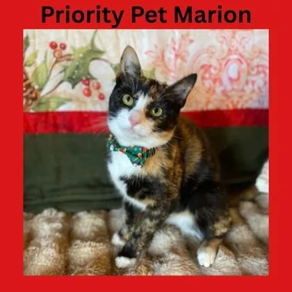 Marion  `a Priority thumbnail 3