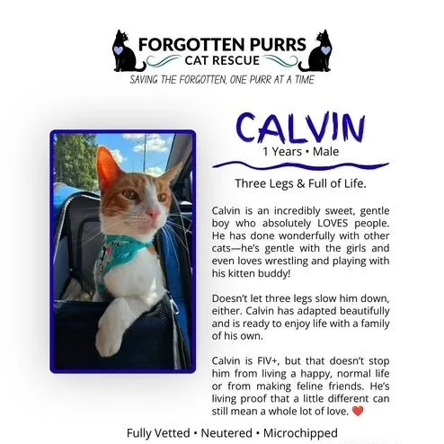 Calvin
