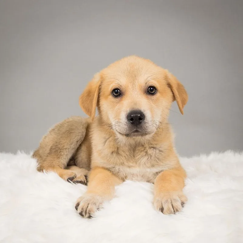 Buffalo Bill thumbnail 2