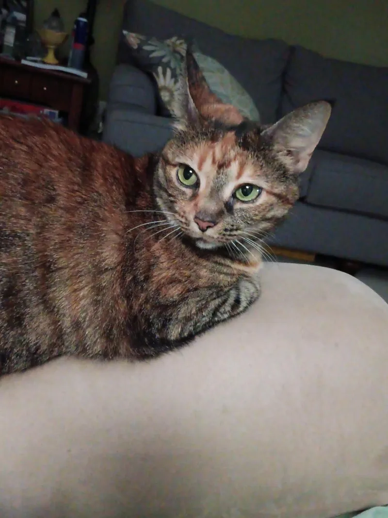 Minji thumbnail 3