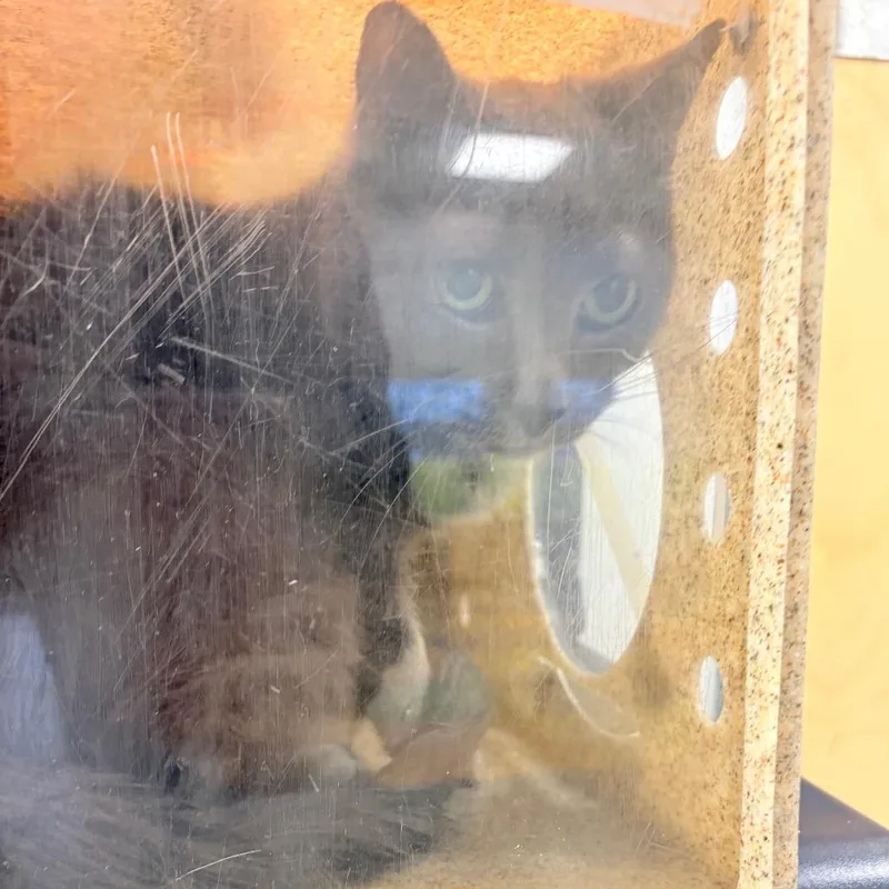 Stirling thumbnail 2