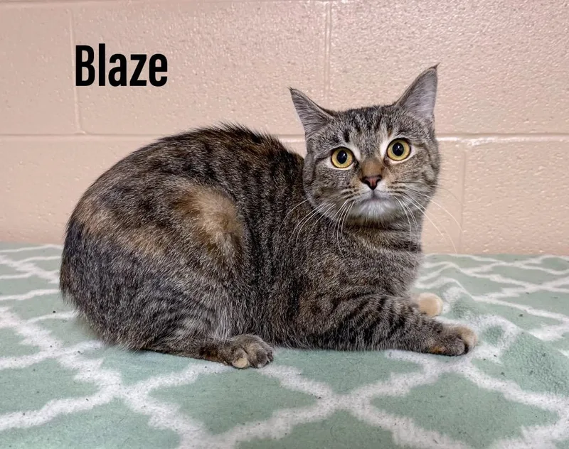 Blaze