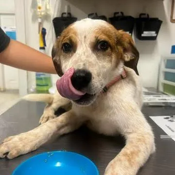 Aetherstone