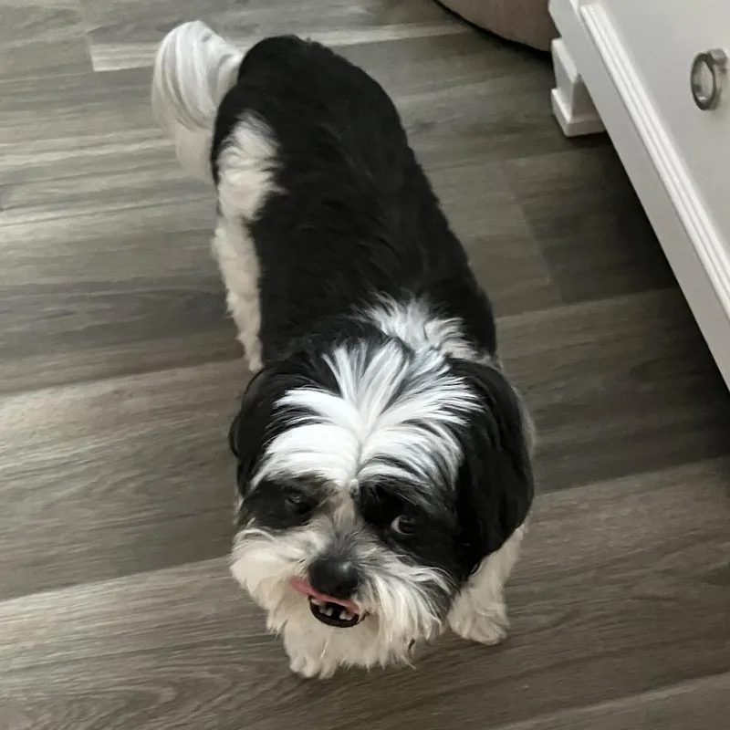 Bodie thumbnail 4