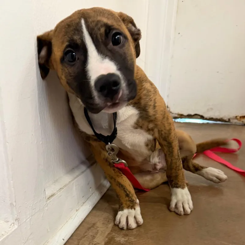 Heineken thumbnail 2