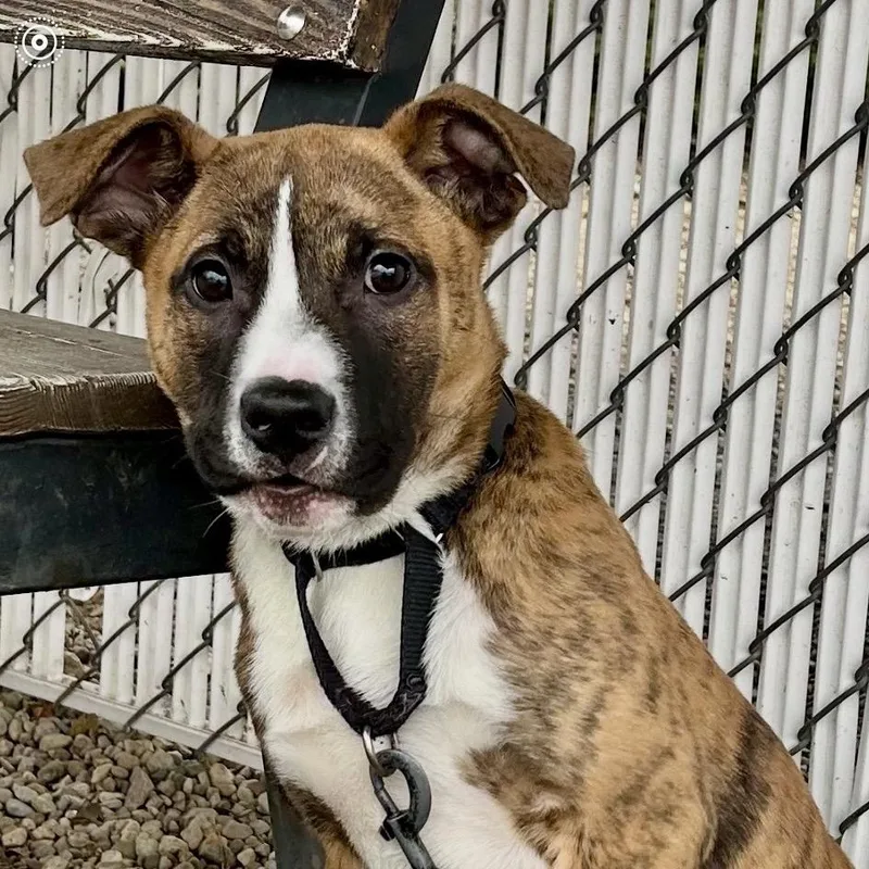 Heineken thumbnail 3