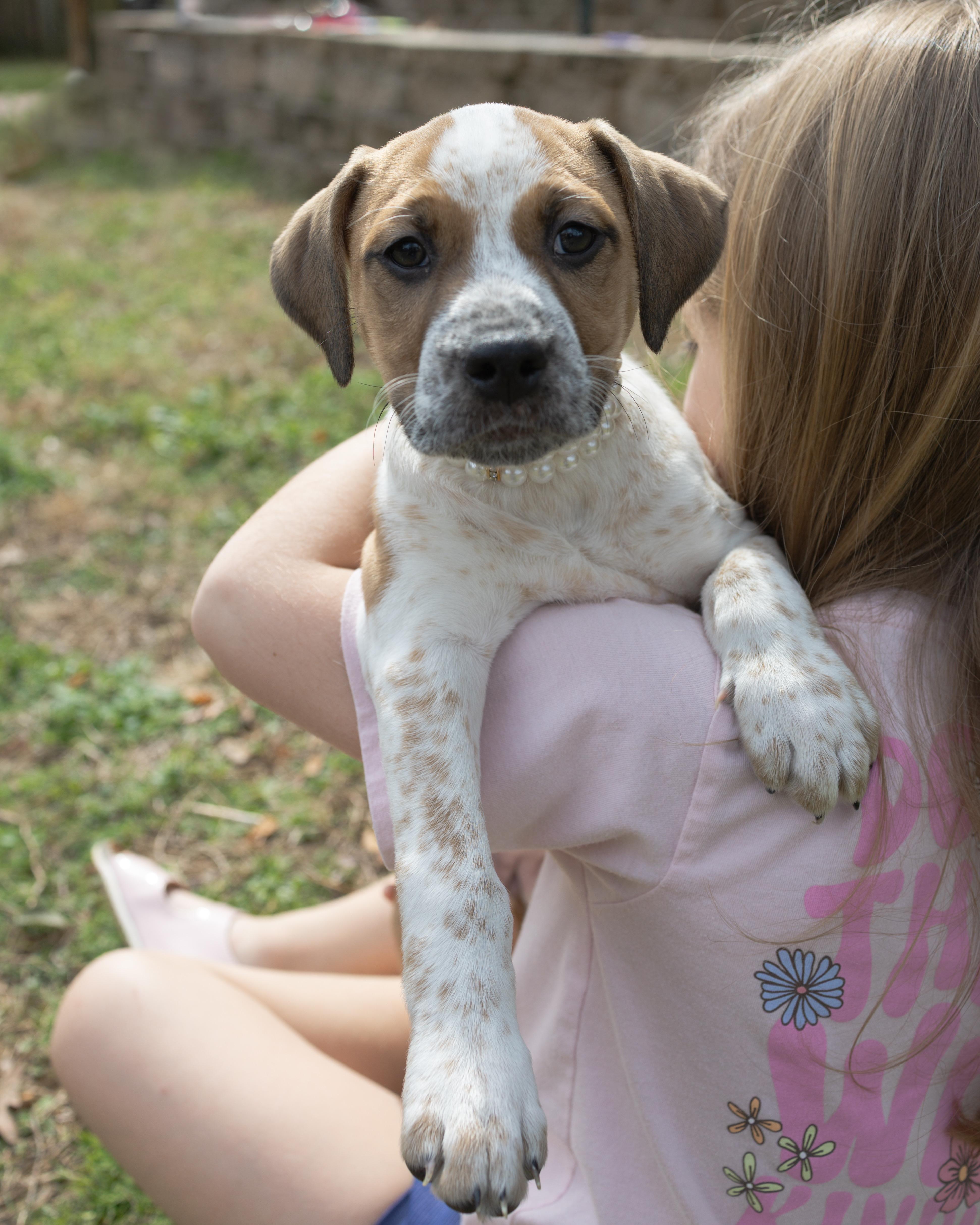 Speckles thumbnail 5