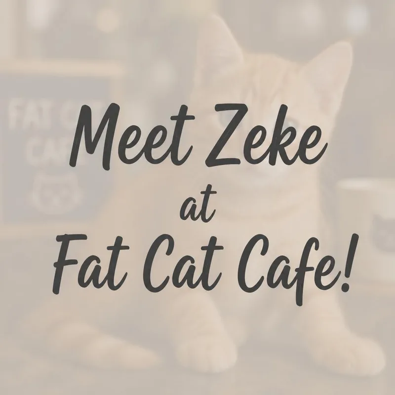 A baby medium-sized male Orange / Red Domestic Short Hair cat named Zeke at Fat Cat for adoption in Tallahassee, FL