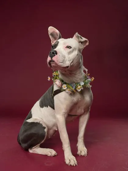 Elle  Rn thumbnail 2