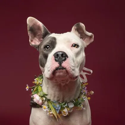 Elle  Rn thumbnail 3