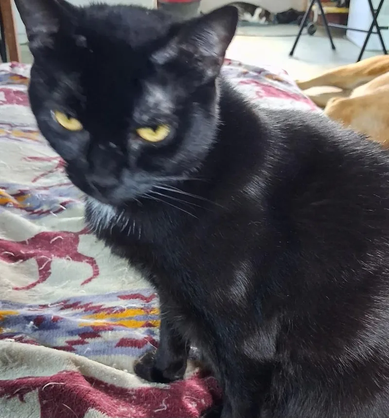 Misa AKA Luna