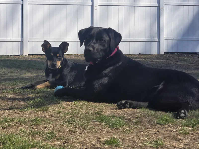 Momma Shyla Shortcake  thumbnail 4