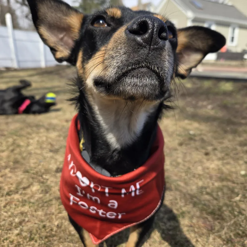 Momma Shyla Shortcake  thumbnail 6