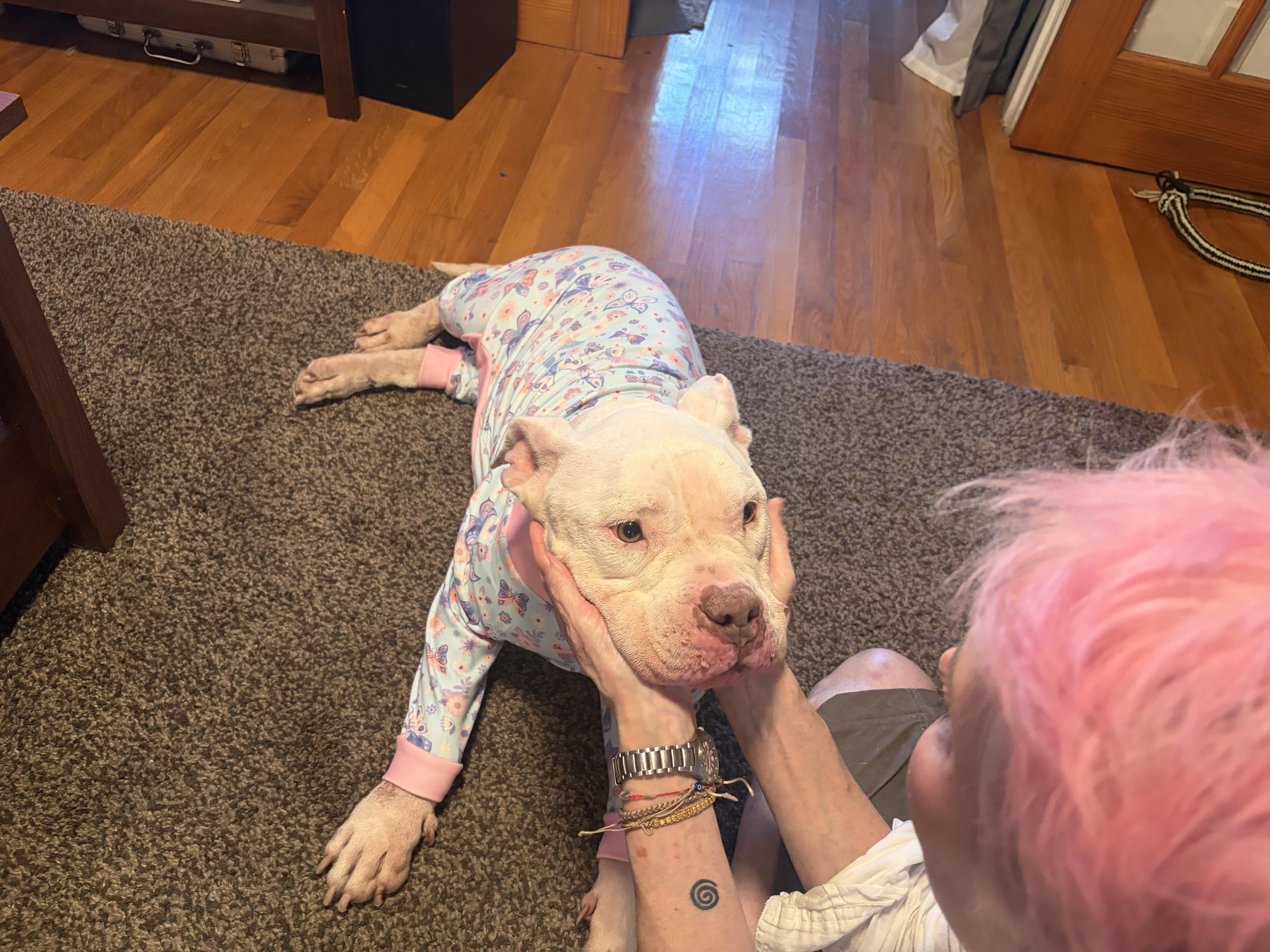 Gigi thumbnail 6
