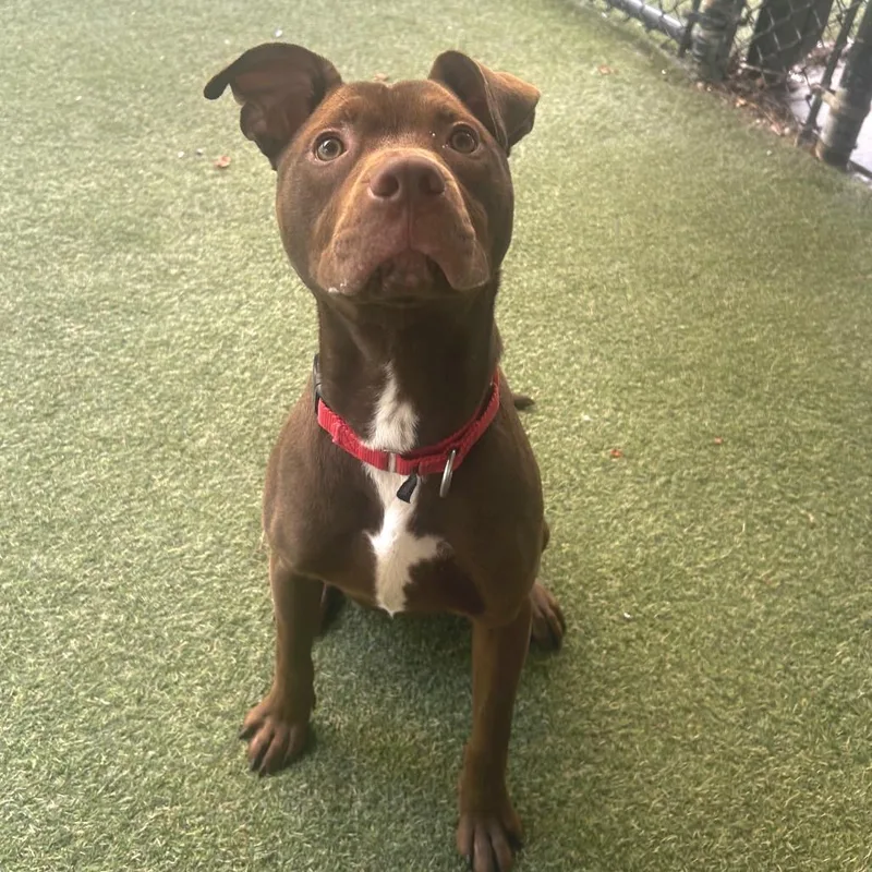 Plot Twist thumbnail 3