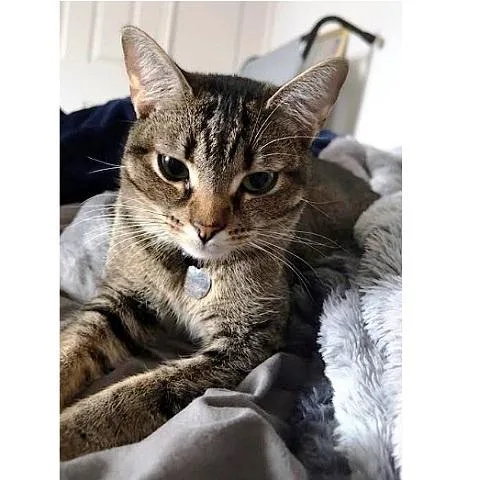 Willow Mae thumbnail 2
