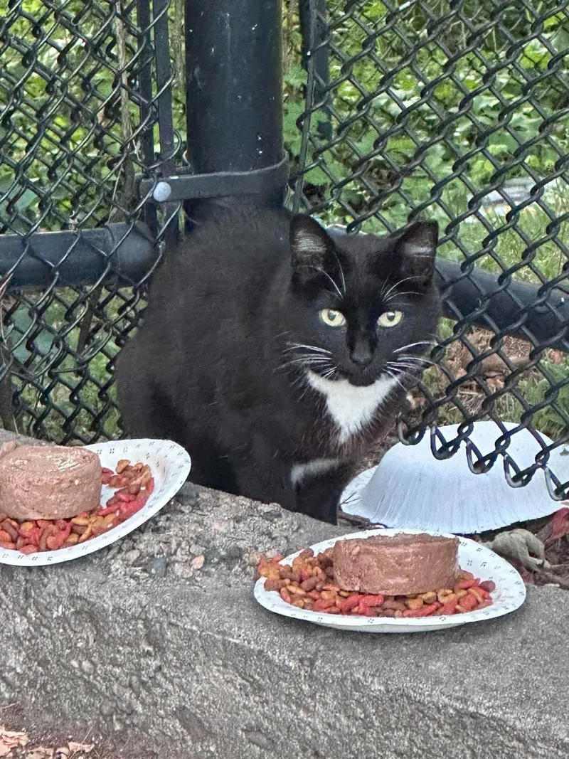 Mama Tux thumbnail 3