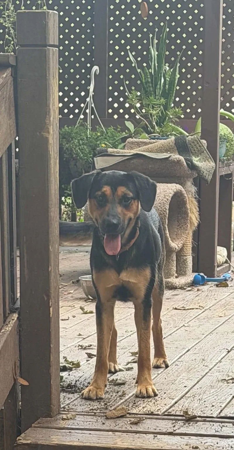 Jude