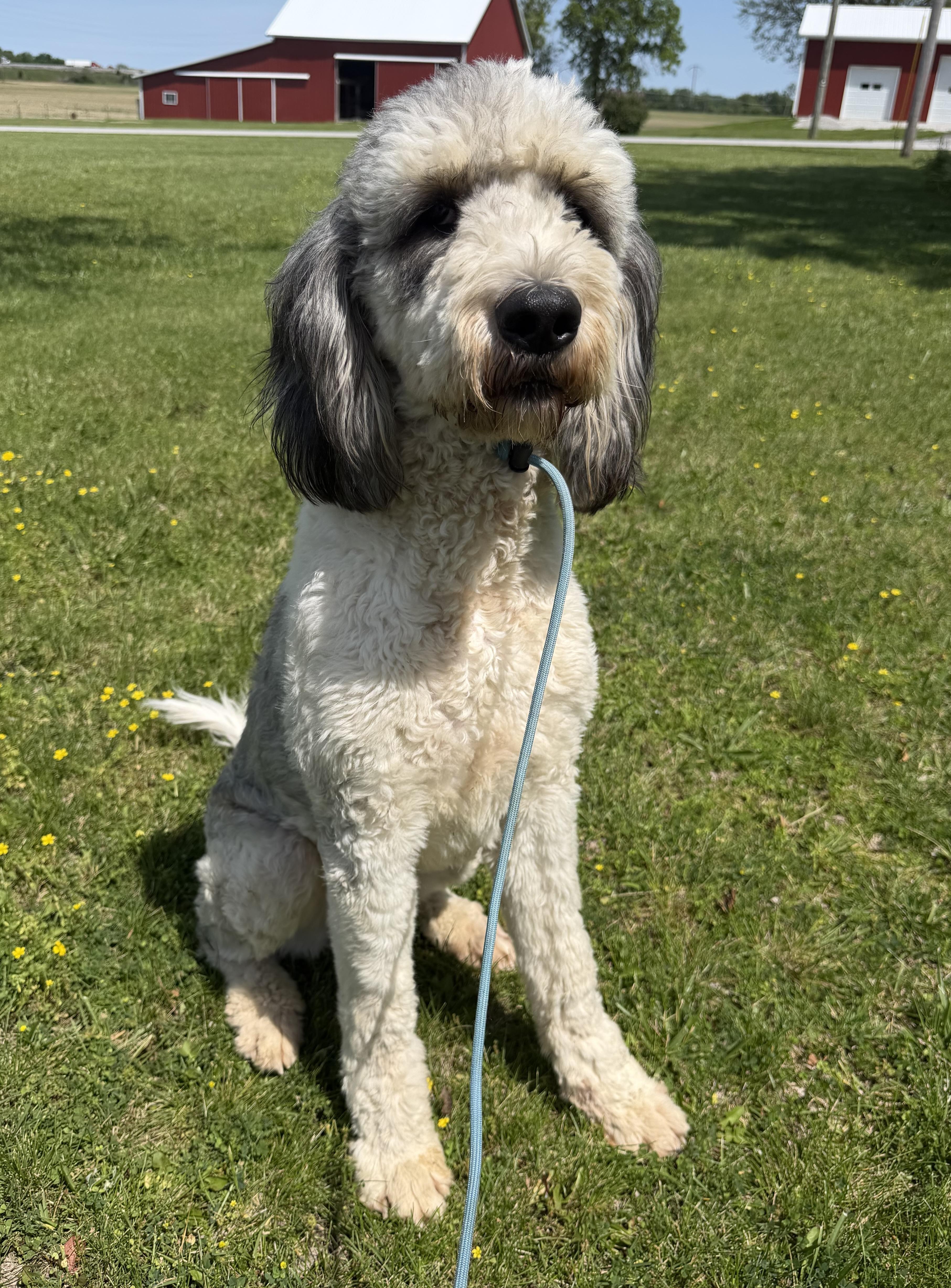 Chloe thumbnail 3
