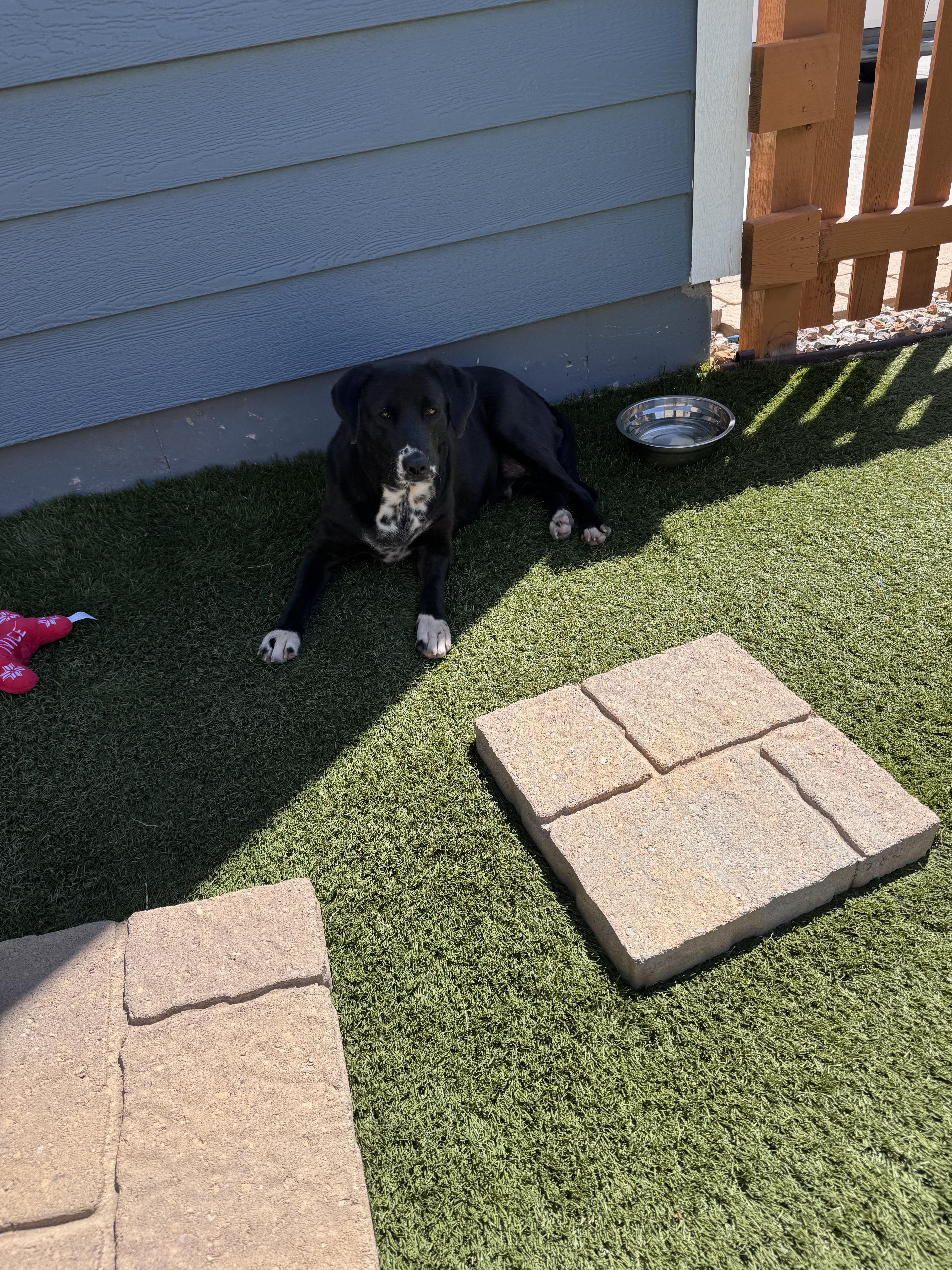 Madeline thumbnail 2