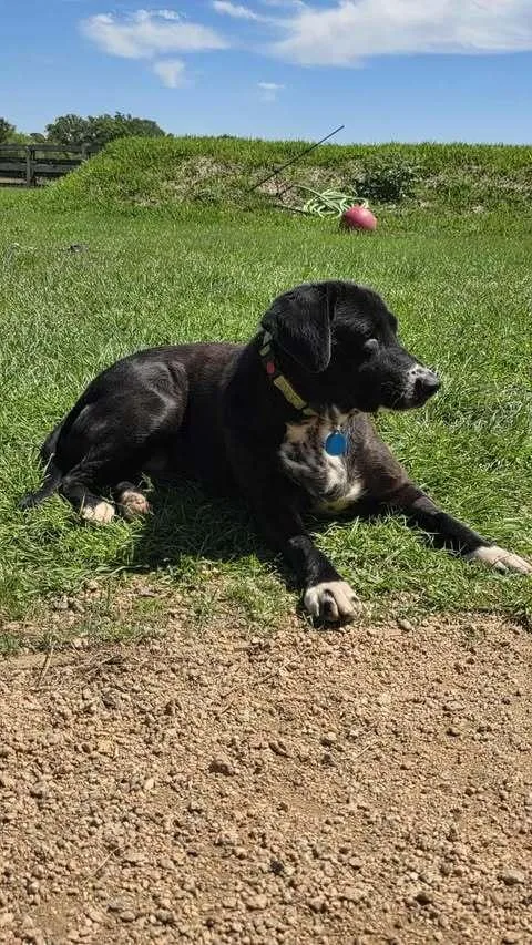 Madeline thumbnail 3