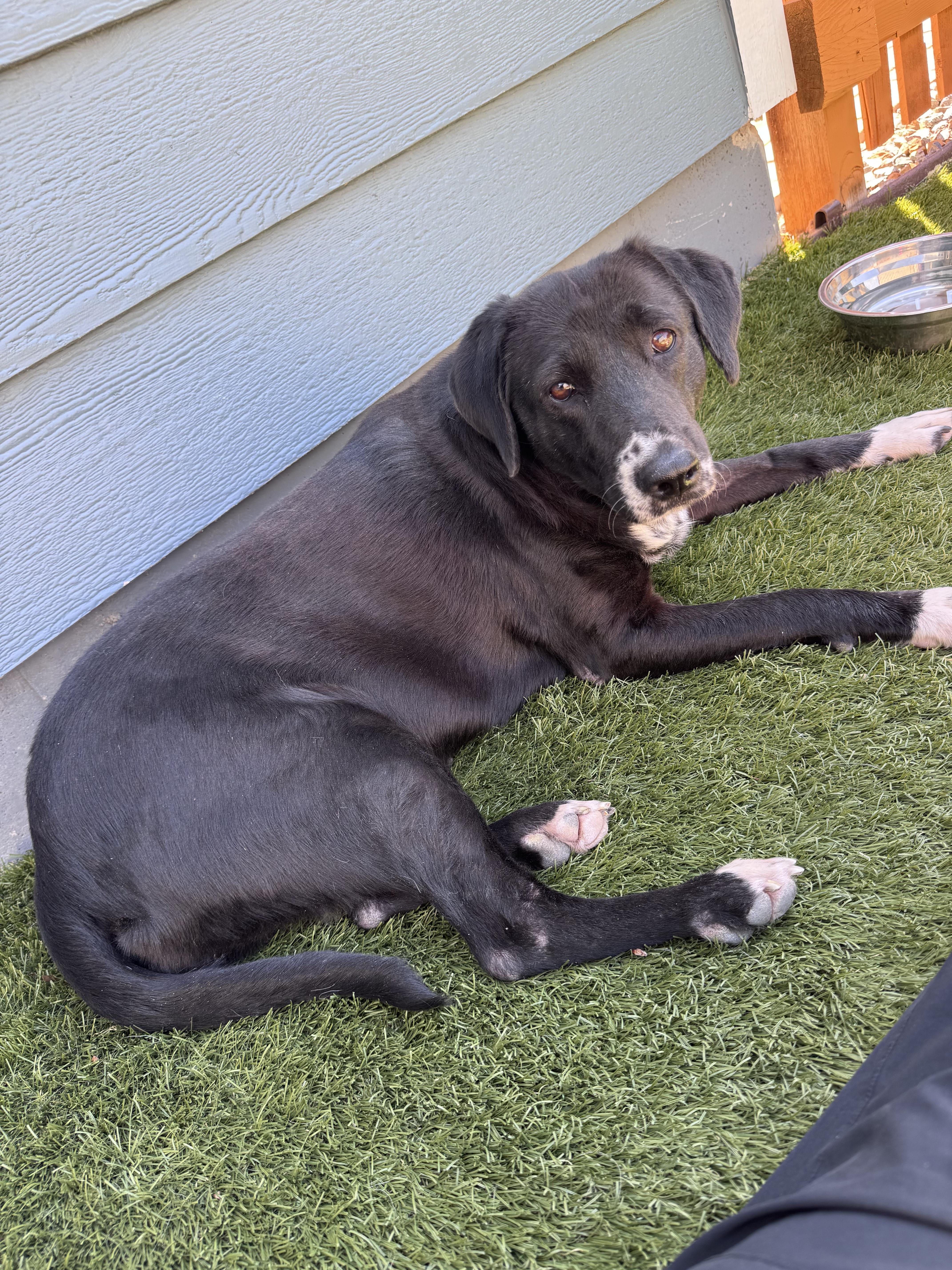 Madeline thumbnail 4