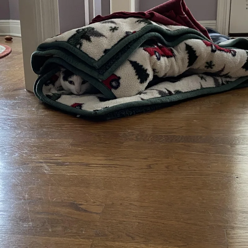 Jazzy & Kenny  thumbnail 2