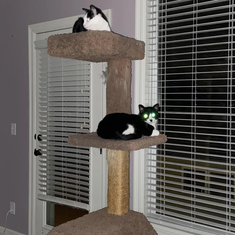 Jazzy & Kenny  thumbnail 3