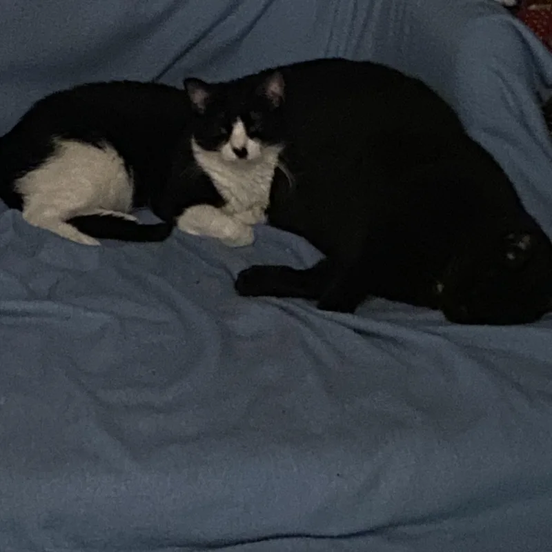 Jazzy & Kenny  thumbnail 4