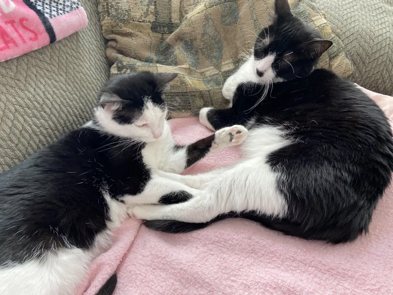 Jazzy & Kenny  thumbnail 6