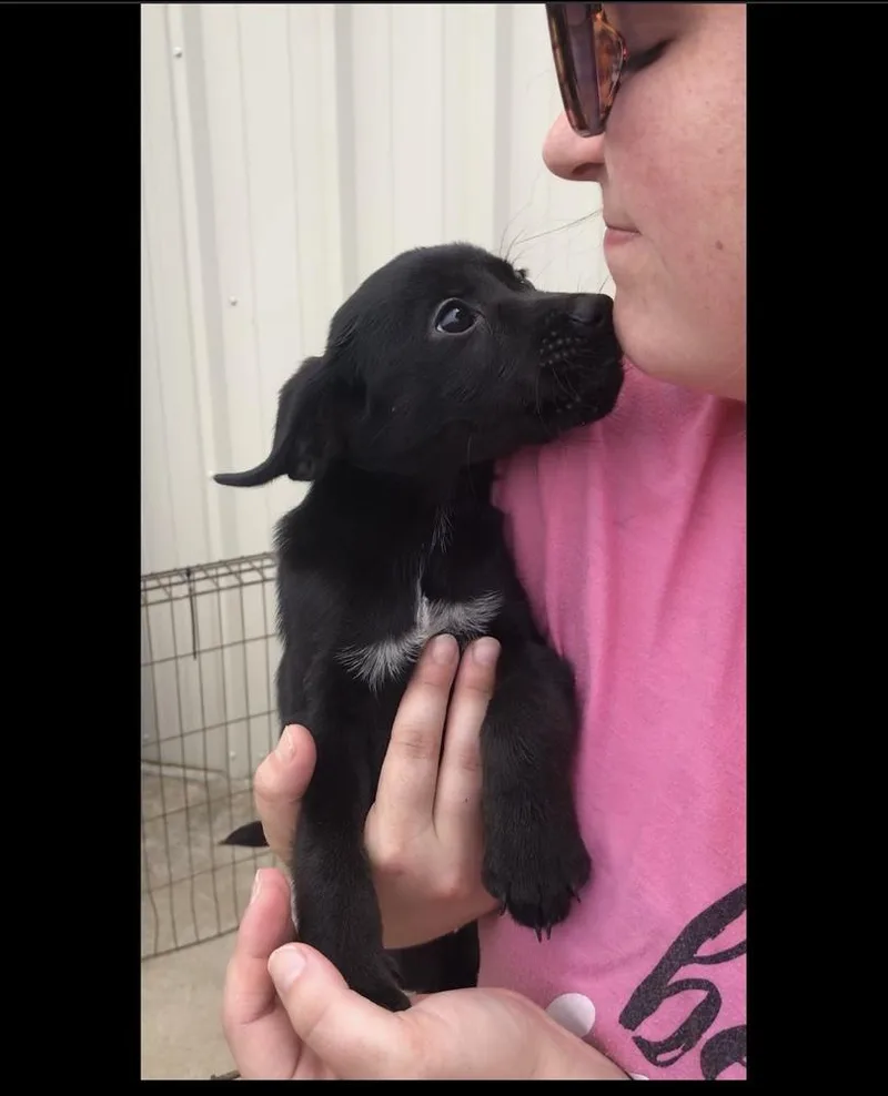 Sapphire thumbnail 4