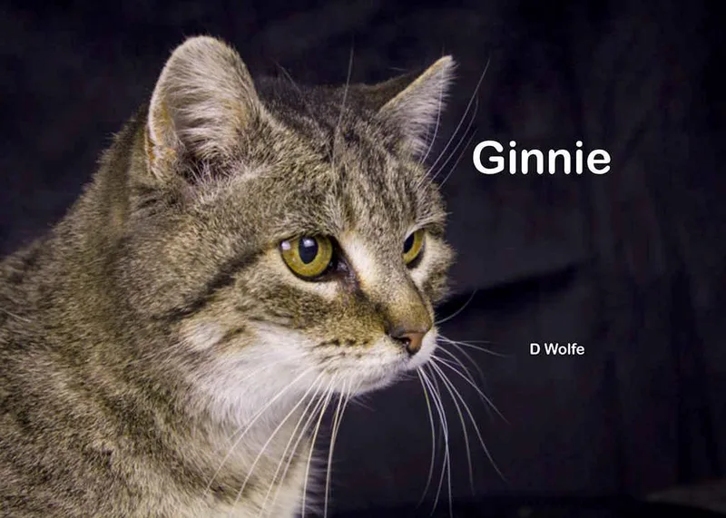 Ginnie thumbnail 2