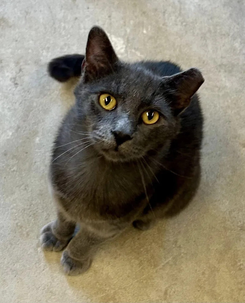 Sundance thumbnail 2