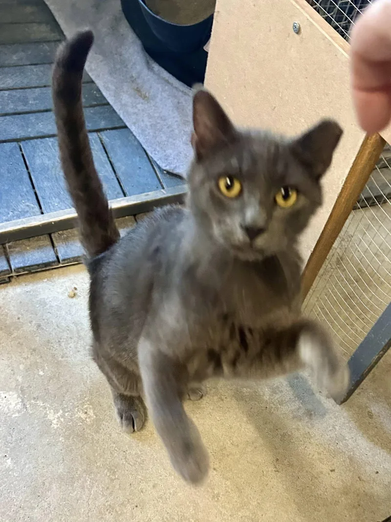 Sundance thumbnail 3