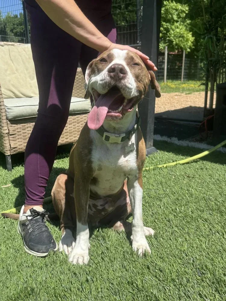 Joe Quapaw thumbnail 2