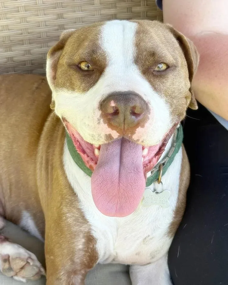 Joe Quapaw thumbnail 3