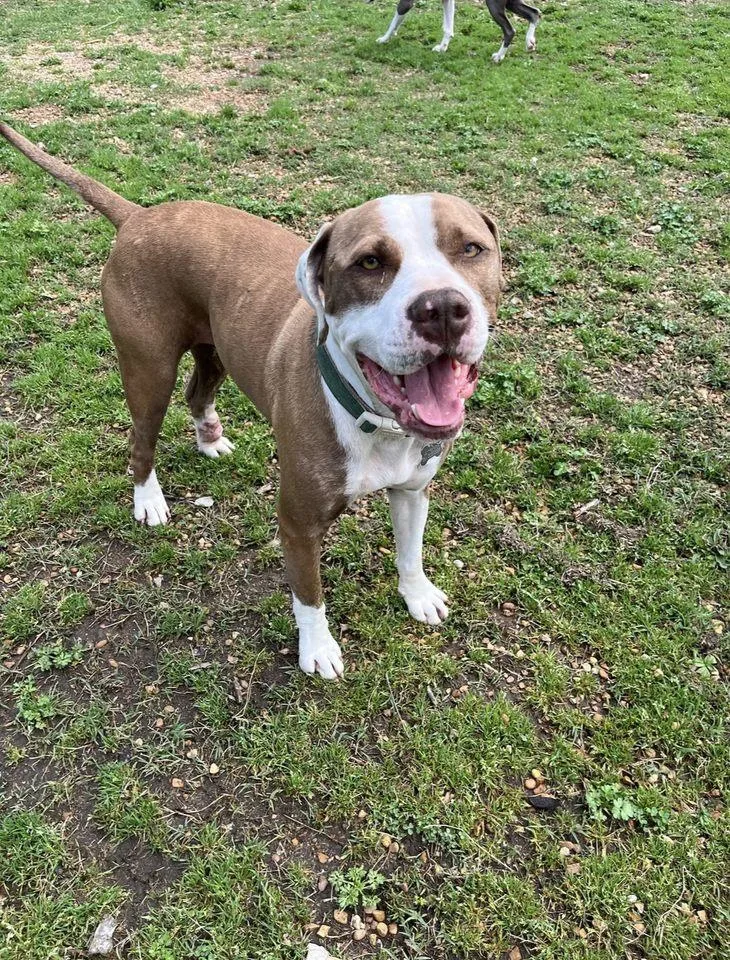 Joe Quapaw thumbnail 5