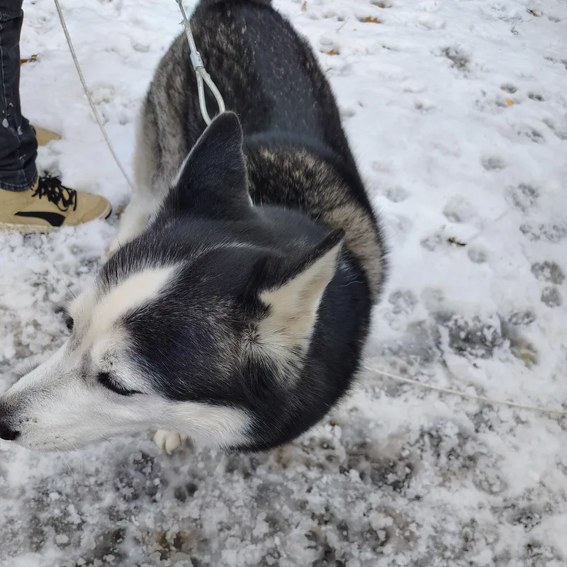 Bruno Courtesy Listing thumbnail 2