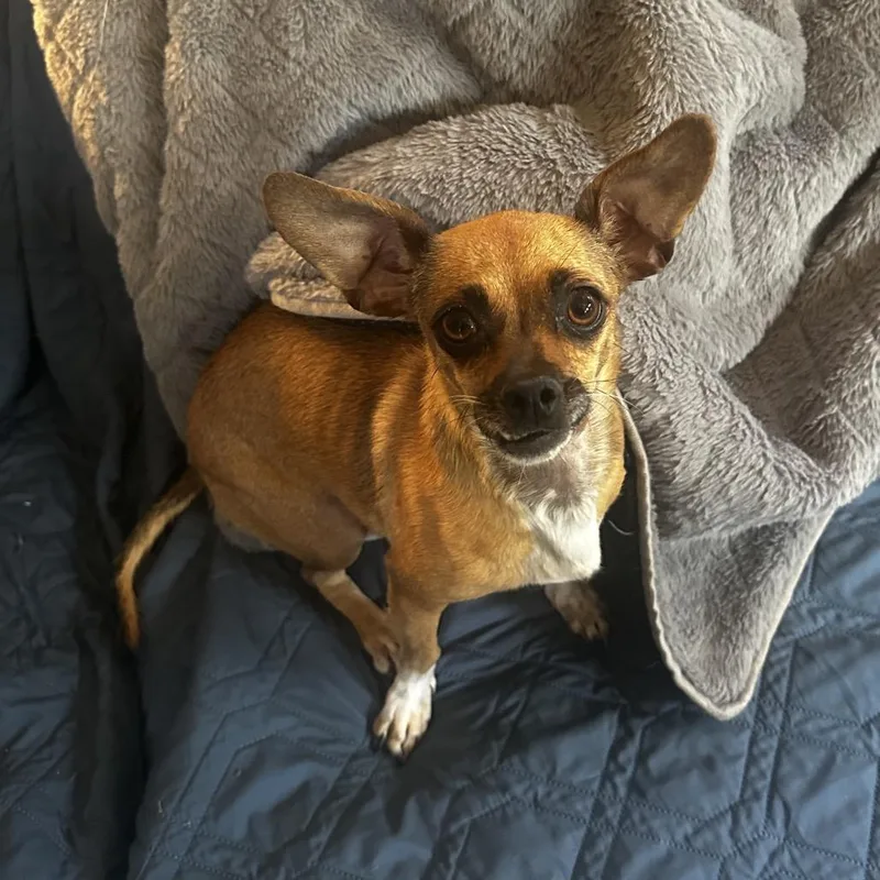 Josephine thumbnail 2