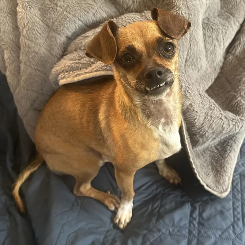 Josephine thumbnail 5