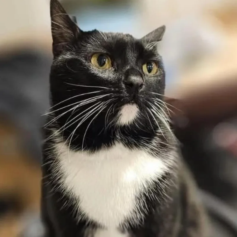 Ella Mae thumbnail 2