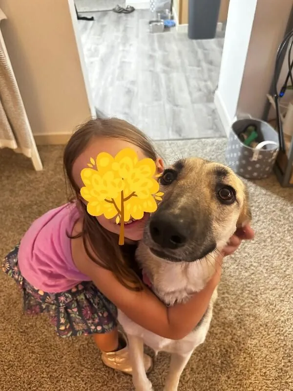 Daisy thumbnail 3