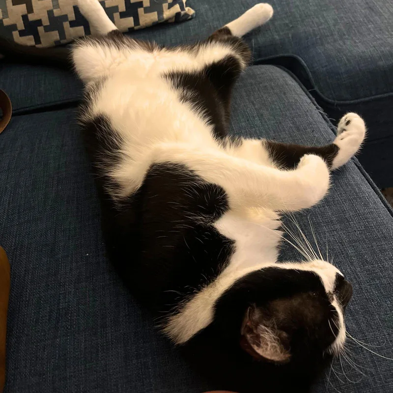 Spider Man thumbnail 3